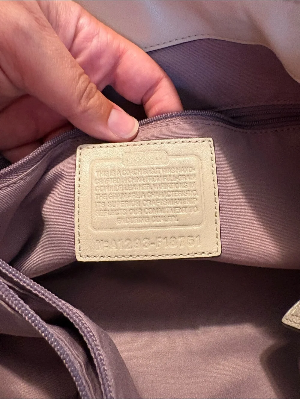 Coach satchel pearlescent